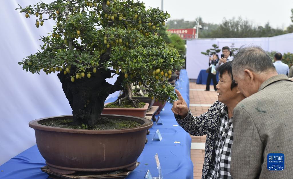 宝马游戏机